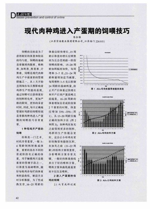 现代肉种鸡进入产蛋期的饲喂技巧