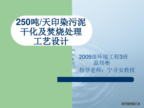 250吨每天污泥干化及焚烧处理工艺设计ppt