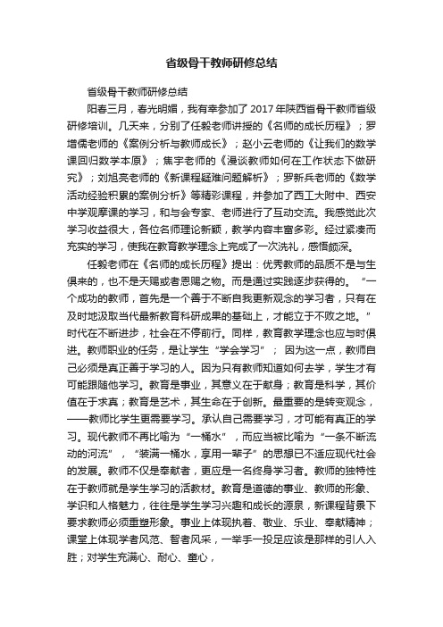 省级骨干教师研修总结