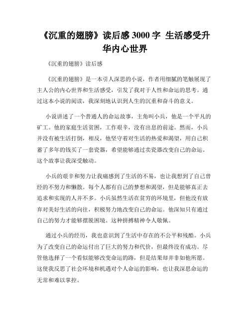 《沉重的翅膀》读后感3000字  生活感受升华内心世界