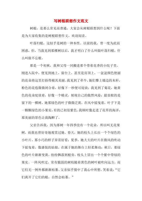 写树根联想作文范文