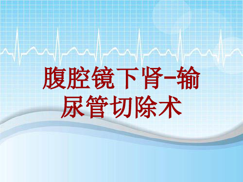 外科手术教学资料：腹腔镜下肾-输尿管切除术讲解模板