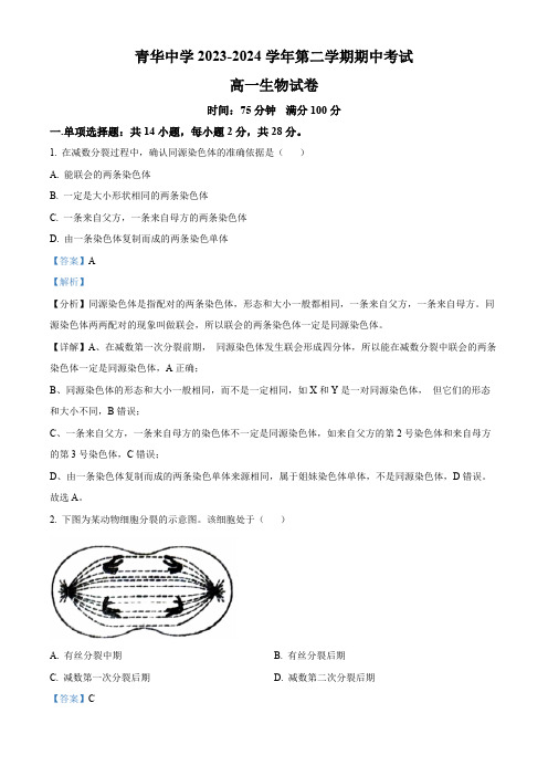 江苏省宿迁市青华中学2023-2024学年高一下学期期中考试生物试题(解析版)