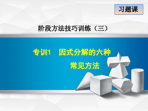 人教版八年级数学上册-专训-因式分解的六种常见方法