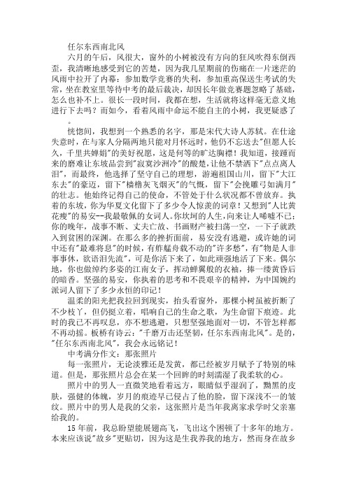 中考满分作文：任尔东西南北风