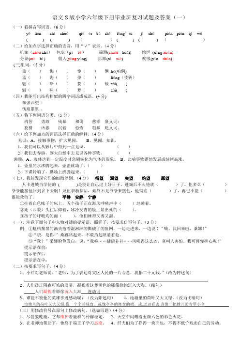 语文S版小学六年级下册毕业班复习试题及答案(一)