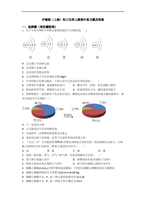 沪教版(上海)初三化学上册期中复习题及答案