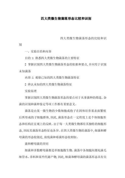 四大类微生物菌落形态比较和识别(可编辑)