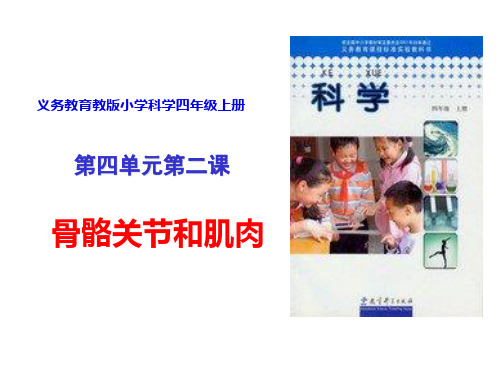 四年级上册科学课件 -4.2骨骼、关节和肌肉 教科版(共15张PPT)