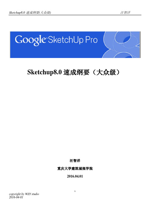 Sketchup8.0速成纲要(大众级)