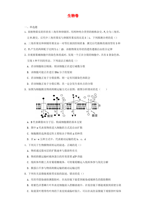 衡阳市第二十六中学2021届高三上学期11月月考生物试卷