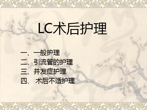 LC术后护理