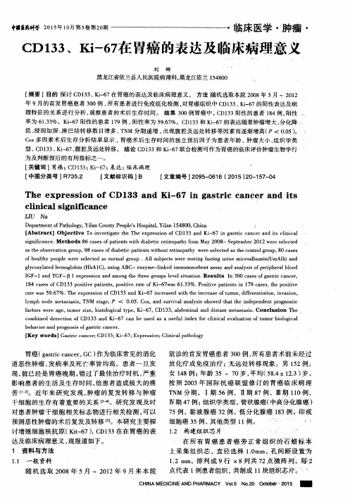 CD133、Ki-67在胃癌的表达及临床病理意义