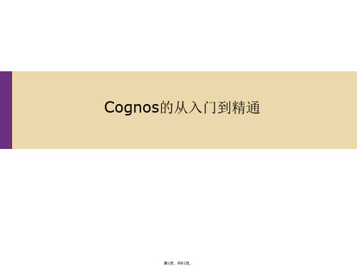 Cognos从入门到精通精细讲解