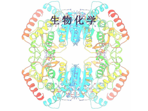 高中生物竞赛课件-第三章  肽和蛋白质