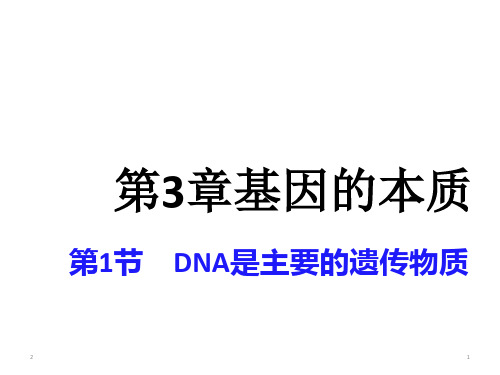 高中生物 人教版 必修2 遗传与进化 第3章 基因的本质 3.1DNA是主要的遗传物质(32张PPT)