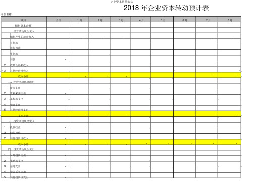 集团资金预算表格