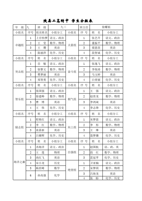 九(三)班小组分组名单表格