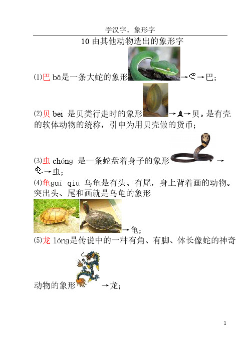 10由其他动物造出的象形字