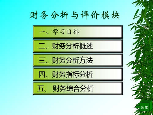 财务指标分析与综合分析(ppt 20页)
