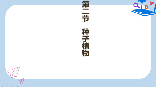 2019-2020年七年级生物上册 3.1.2《种子植物》课件  新人教版