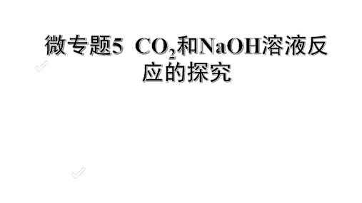 中考化学考点微专题5 CO2与NaOH溶液反应的探究