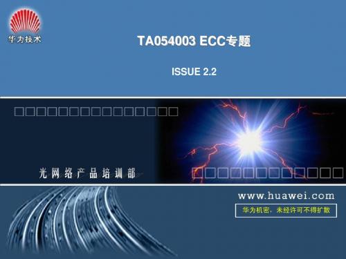 TA054003 ECC专题ISSUE2.2