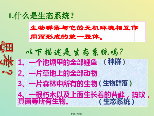 人教版高中生物课件《生态系统的结构》(与“营养”有关文档共20张)