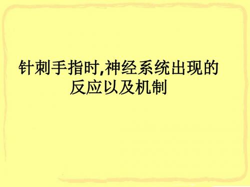 针刺手指时,神经系统出现的反应以及机制ppt课件