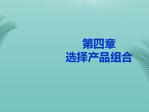 选择产品组合(PPT47页)最全ppt文档