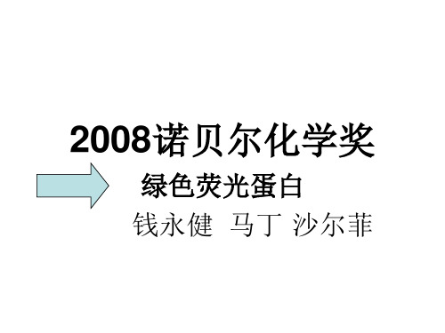 2008诺贝尔化学奖