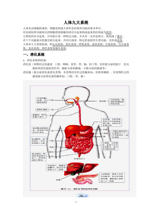 高三总复习强化补充人体九大系统教案