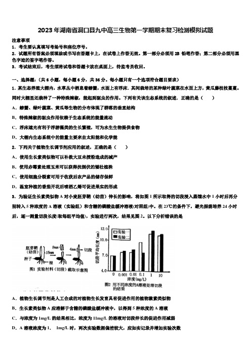 2023年湖南省洞口县九中高三生物第一学期期末复习检测模拟试题含解析