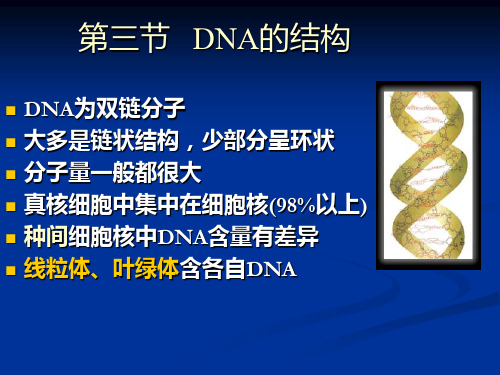 第2章  核酸化学2