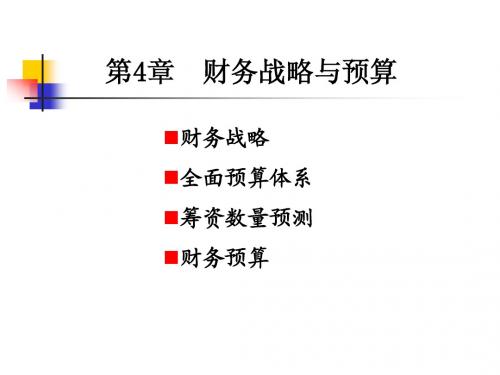 第4章 财务战略与预算