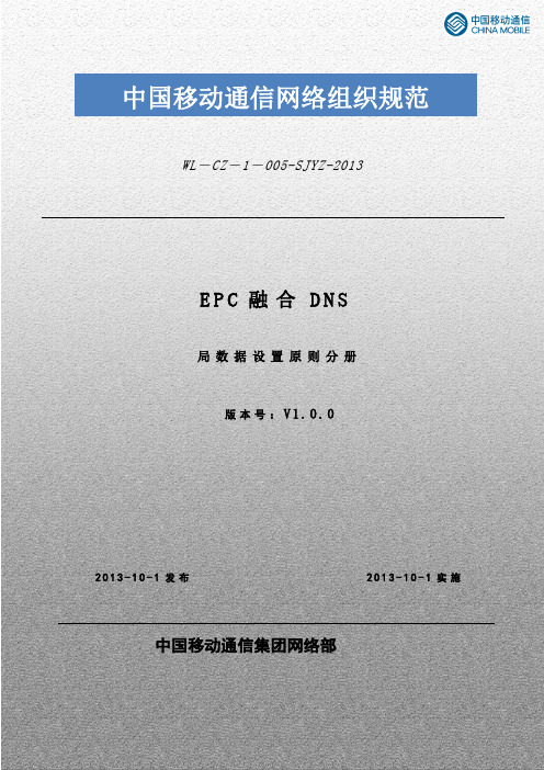 EPC融合DNS局数据设置原则分册