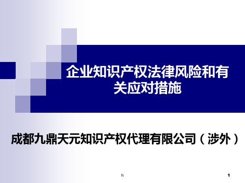 企业知识产权法律风险和有关应对措施【精品-PPT】