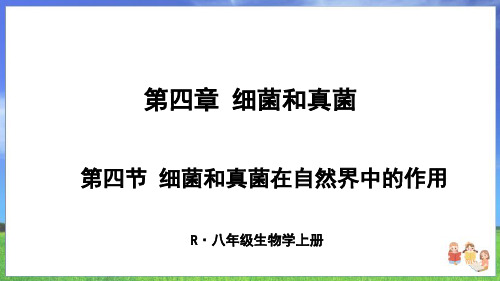 人教版生物八上第四章第四节《细菌和真菌在自然界中的作用》