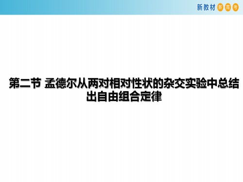 孟德尔从两对相对性状的杂交实验中总结出自由组合定律-新教材新高考