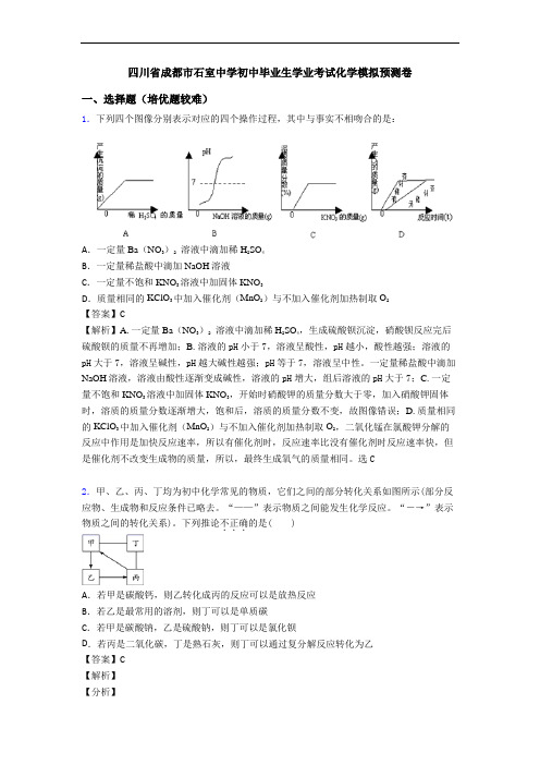 四川省成都市石室中学初中毕业生学业考试化学模拟预测卷