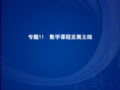 专题11数学课程发展主线