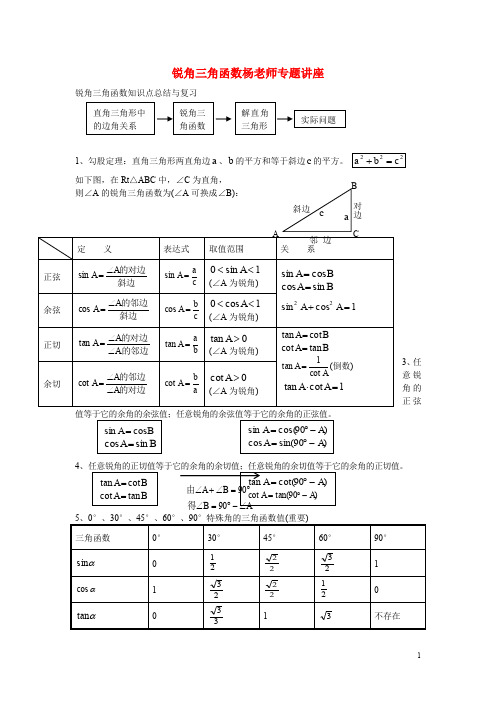 中考数学专题复习讲座 锐角三角函数专题