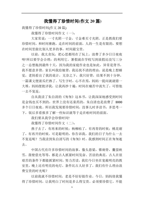 我懂得了珍惜时间(作文20篇)