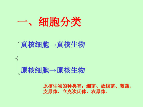 细胞分类真核细胞→真核生物原核细胞→原核生物原核生物的种类有