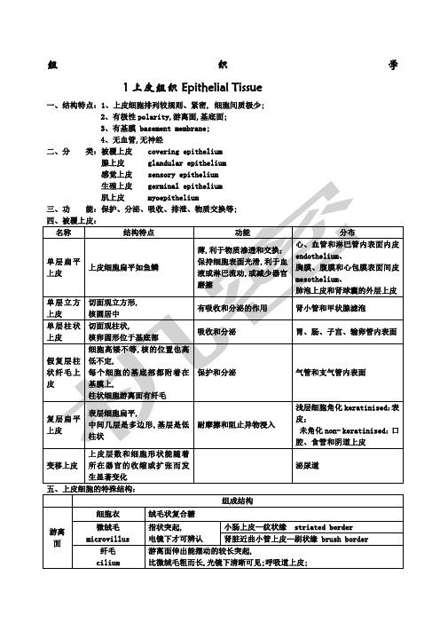 组织学与胚胎学重点