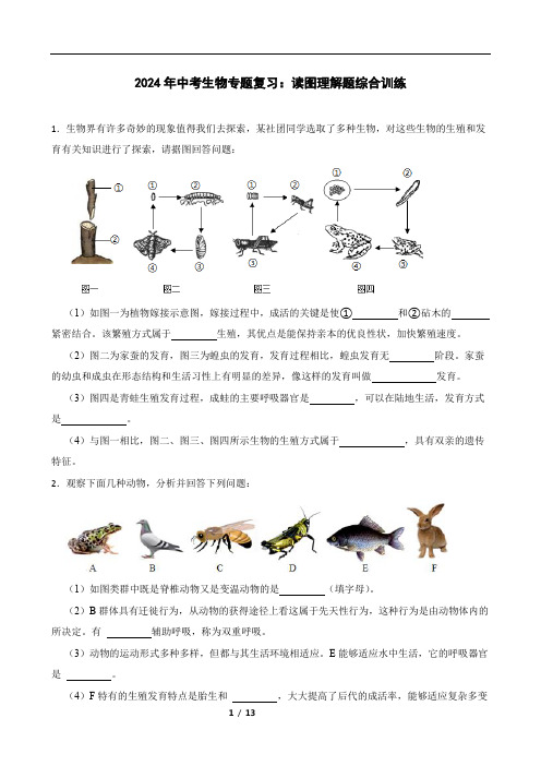 2024年中考生物专题复习：读图理解题综合训练