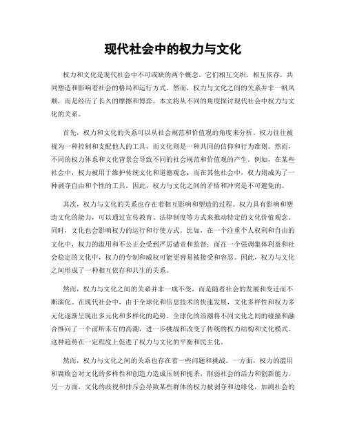 现代社会中的权力与文化