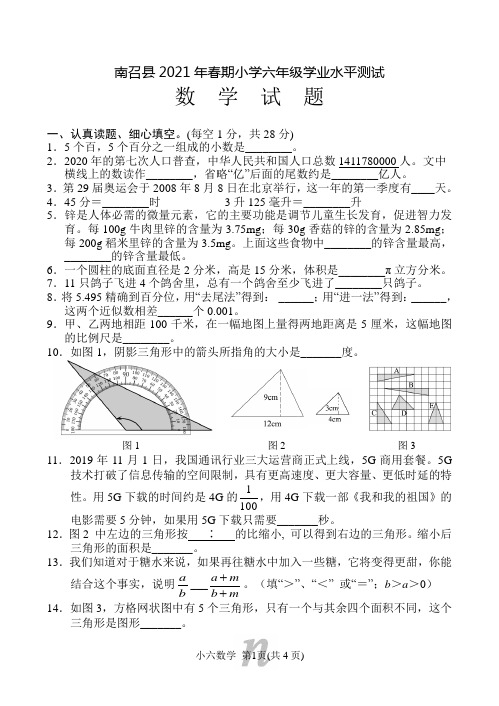 人教版六年级数学下册期末学业水平测试(河南南阳南召县2021春真卷)