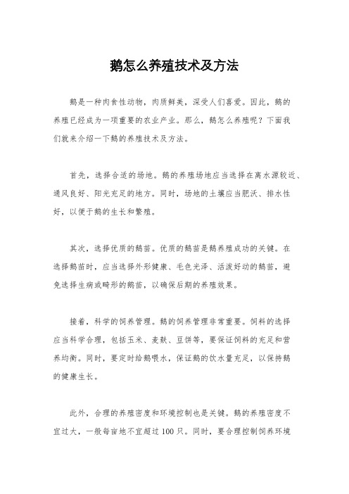 鹅怎么养殖技术及方法