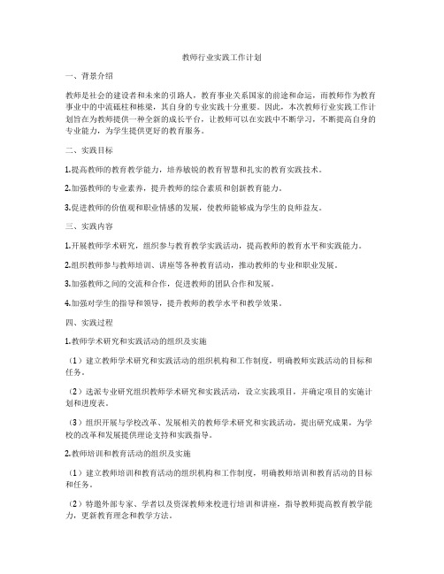 教师行业实践工作计划